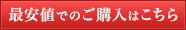 最安値でご購入はこちら